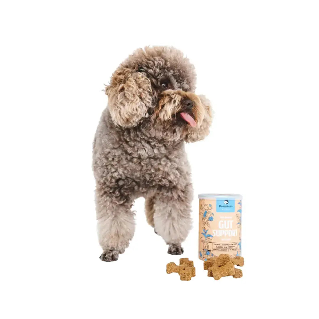 Gizzls Botanicals Gut Support Dog Biscuit Treats   | Canine & Co