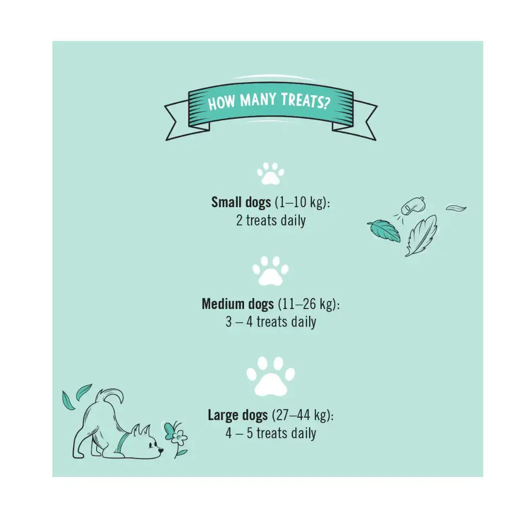 Gizzls Botanicals Itchy & Scratchy Dog Biscuits   | Canine & Co
