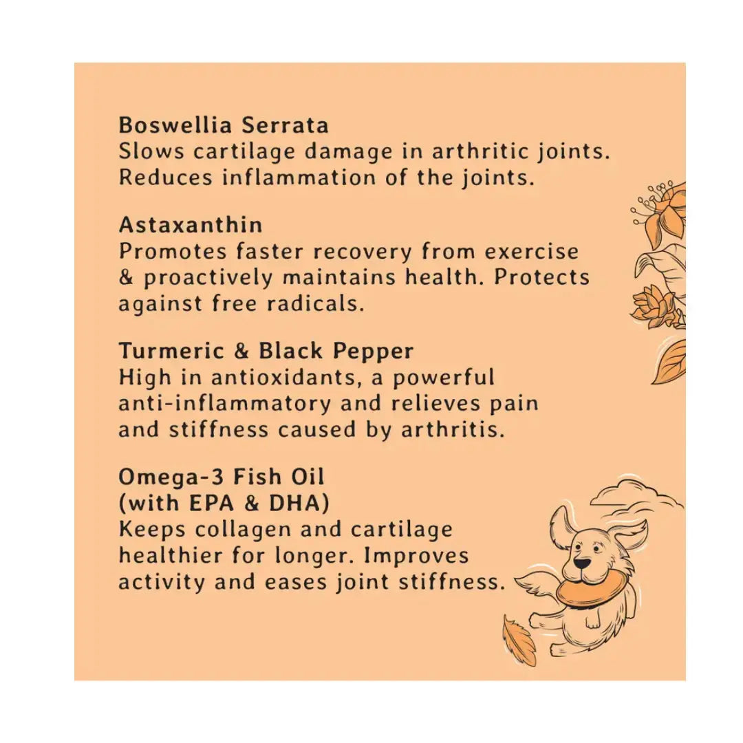 Gizzls Botanicals Joint & Mobility Dog Biscuit Treats   | Canine & Co