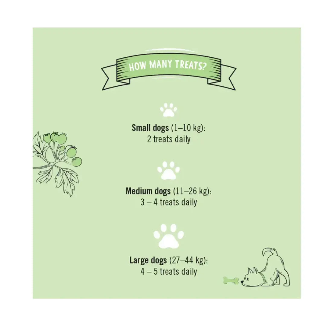 Gizzls Botanicals Senior Dog Biscuit Treats   | Canine & Co