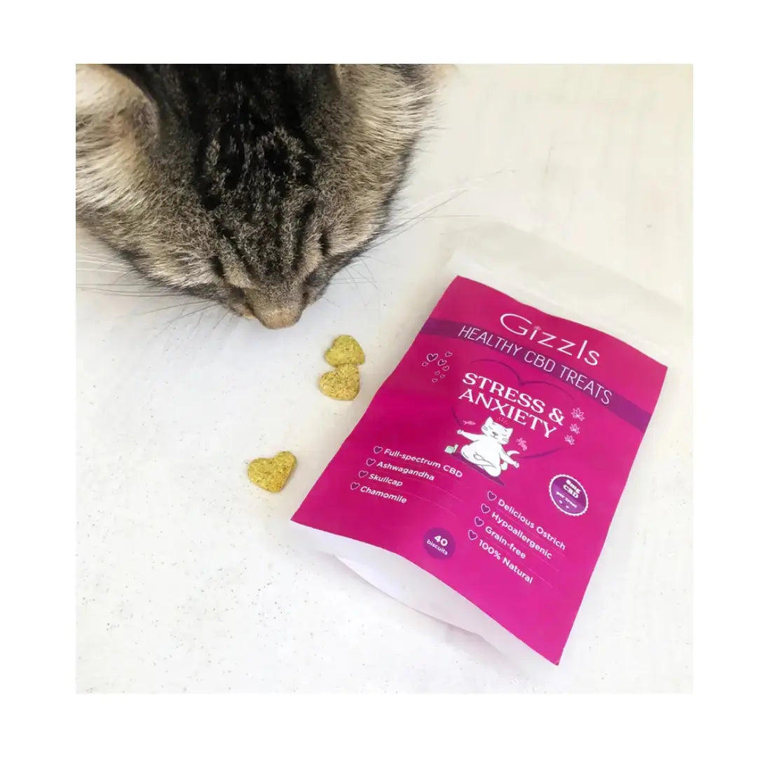 Gizzls Cat Stress & Anxiety Ostrich CBD Cat Treats   | Canine & Co