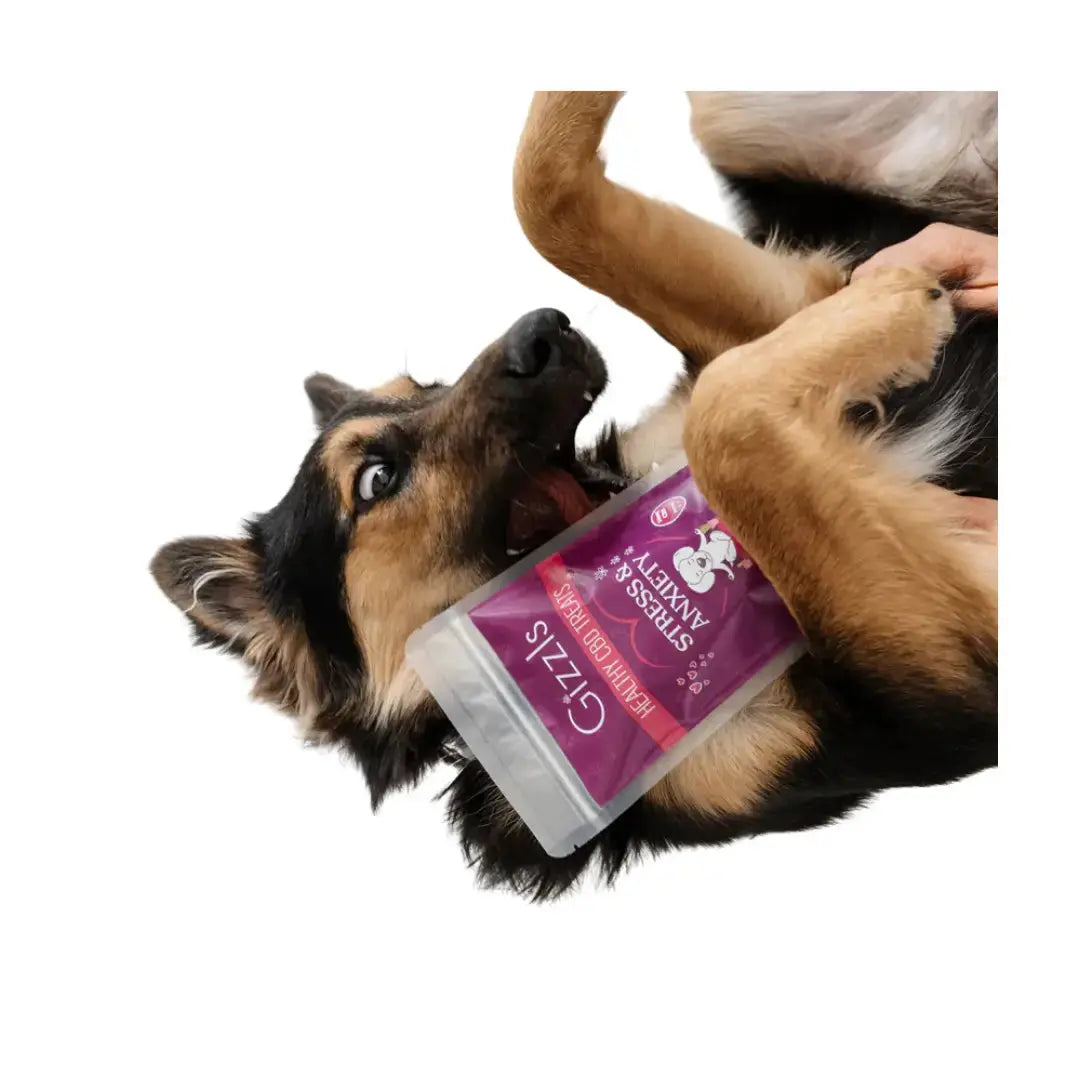Gizzls Large Dog Stress & Anxiety CBD Dog Treats   | Canine & Co