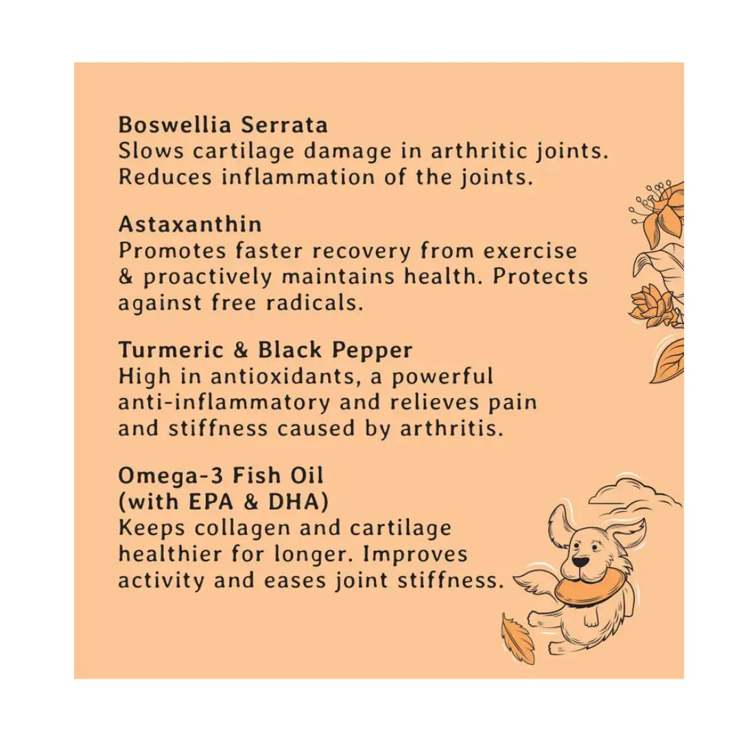 Gizzls Botanicals Joint & Mobility Dog Biscuits