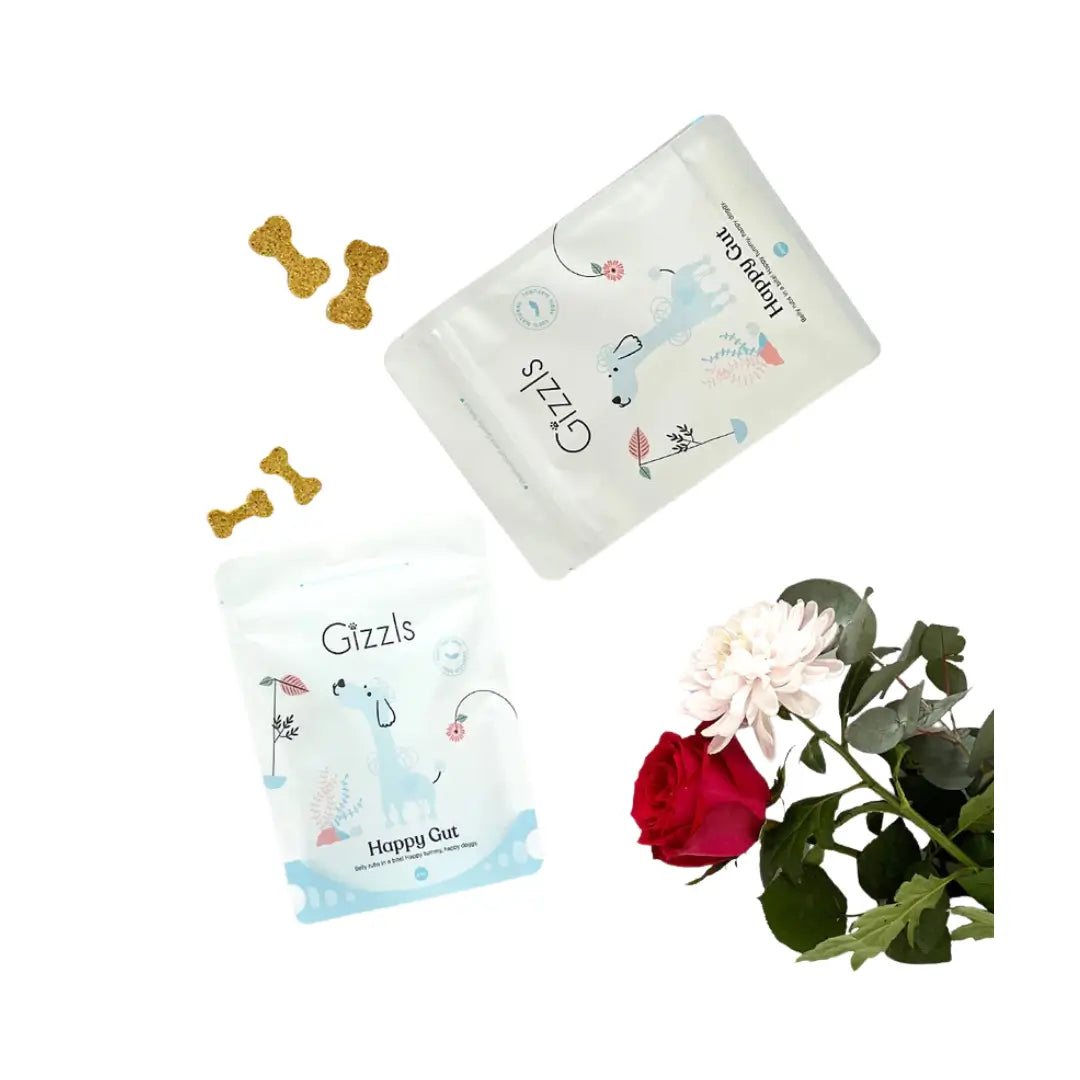 Gizzls Happy Gut Dog Treats