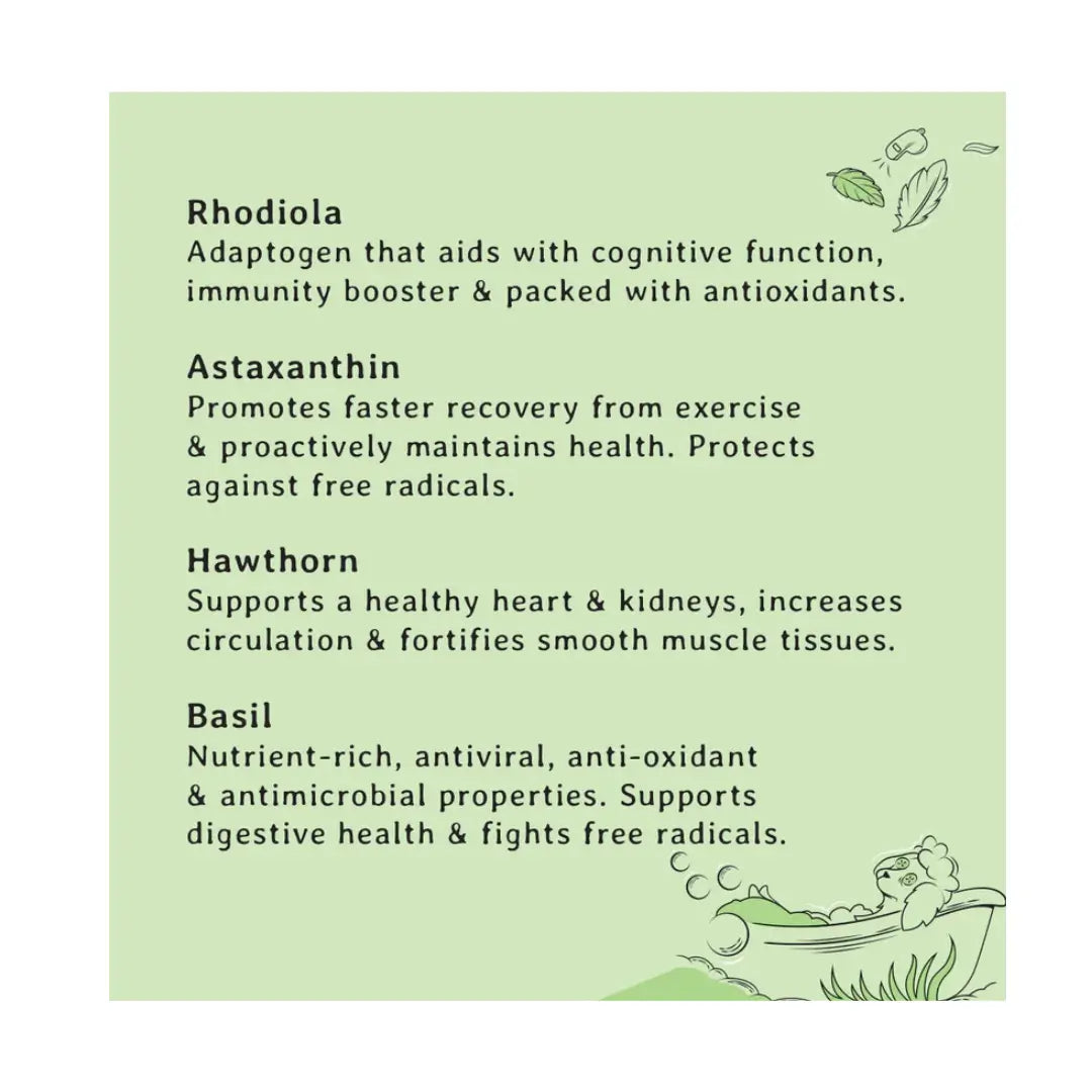 Gizzls Botanicals Senior Dog Biscuits