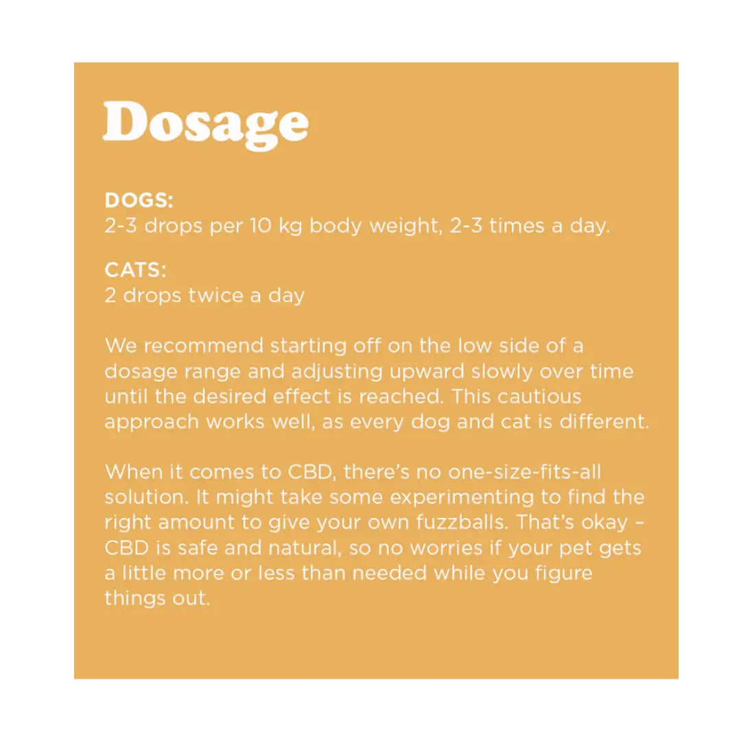 Gizzls Full-spectrum CBD Oil with Turmeric Oil for Dogs   | Canine & Co