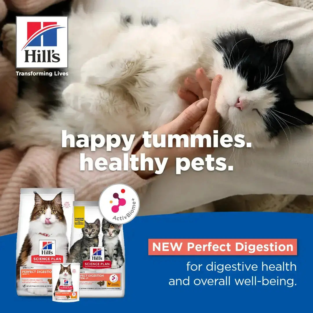 Hill's Science Plan Perfect Digestion Adult Cat Wet Cat Food Pouch Hill's Science Plan