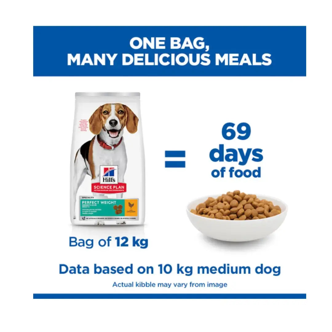 Hill’s Science Plan Adult Perfect Weight Chicken Dry Dog Food   | Canine & Co