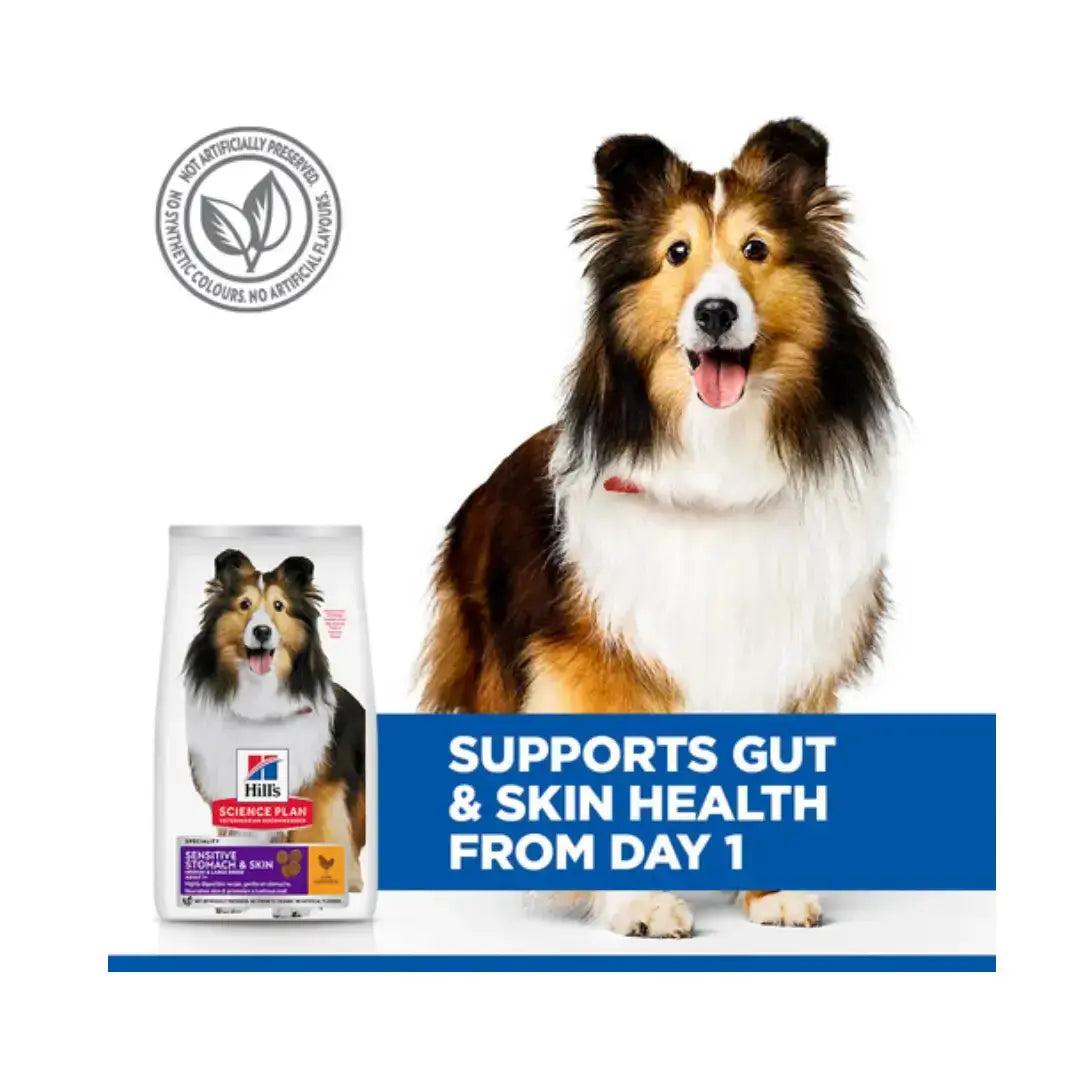 Hill's Science Plan Adult Sensitive Stomach & Skin Chicken Dry Dog Food   | Canine & Co