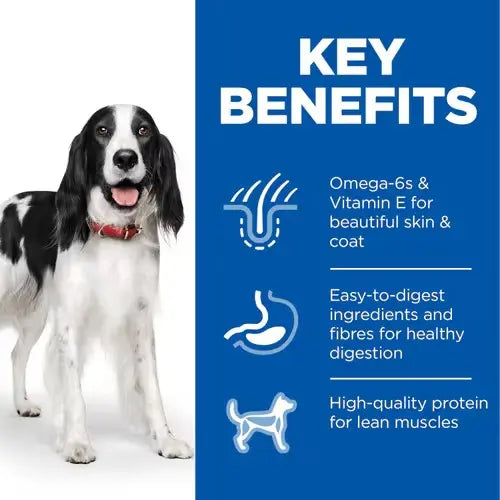 Dog food benefits infographic highlighting omega-6s, easy digestion, and high-quality protein for healthy skin and muscles.