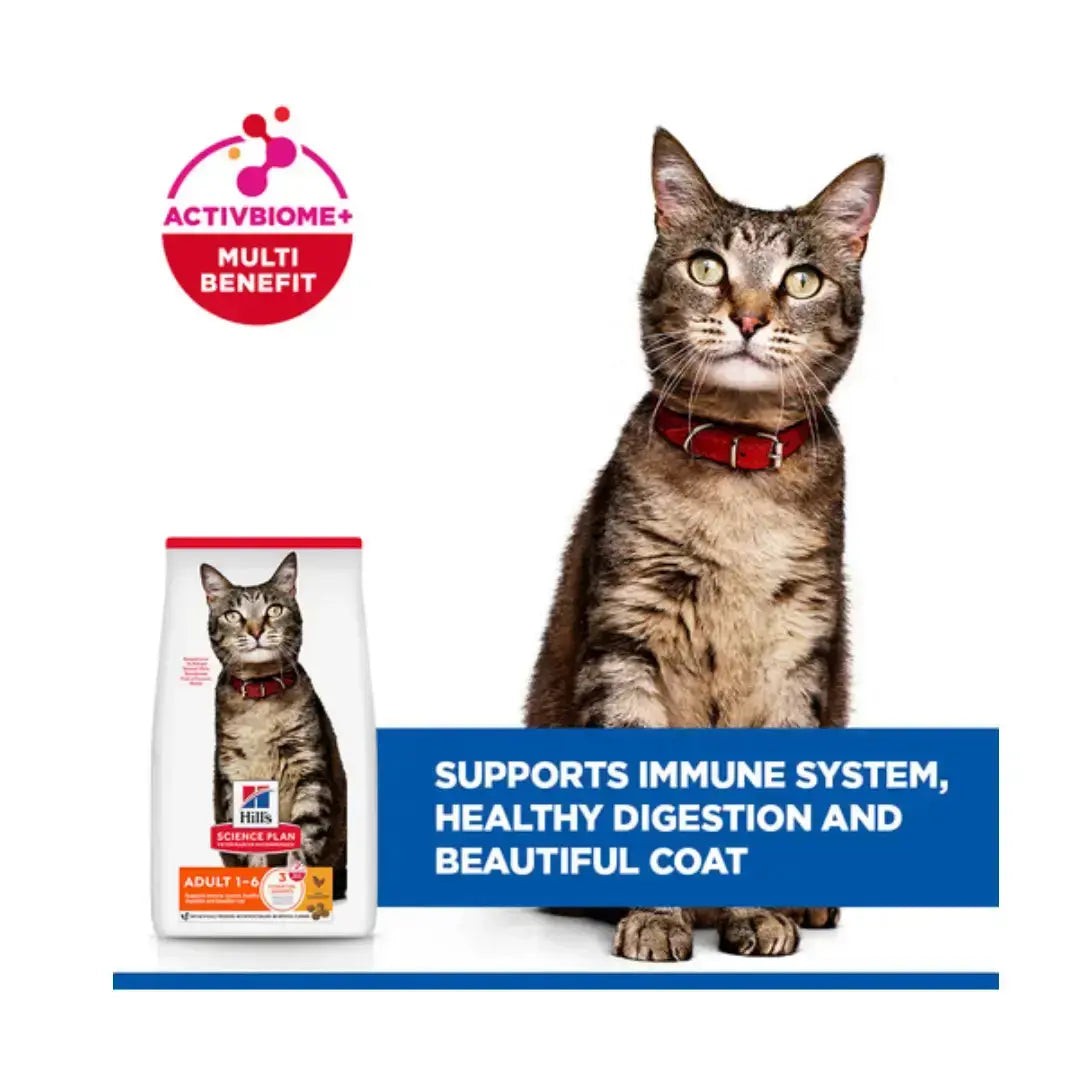 Hill's Science Plan Feline Adult Chicken Dry Cat Food   | Canine & Co