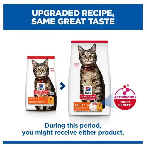 Hill's Science Plan Feline Adult Chicken Dry Cat Food   | Canine & Co