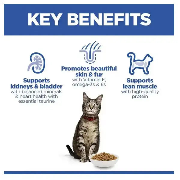 Hill's Science Plan Feline Adult Chicken Dry Cat Food   | Canine & Co