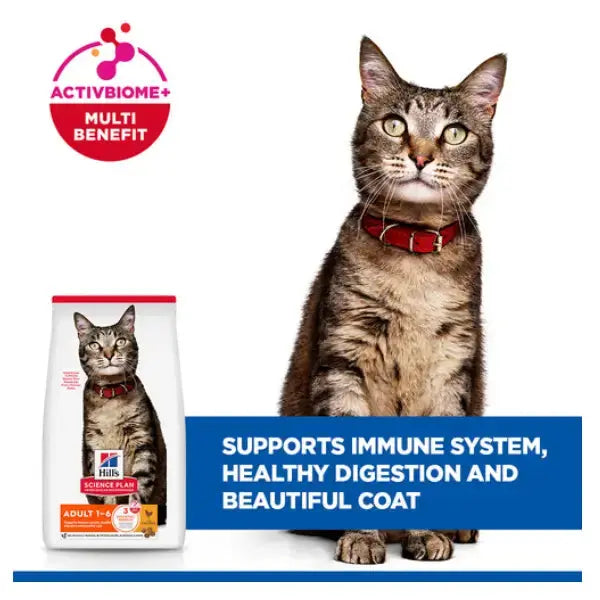 Hill's Science Plan Feline Adult Chicken Dry Cat Food   | Canine & Co