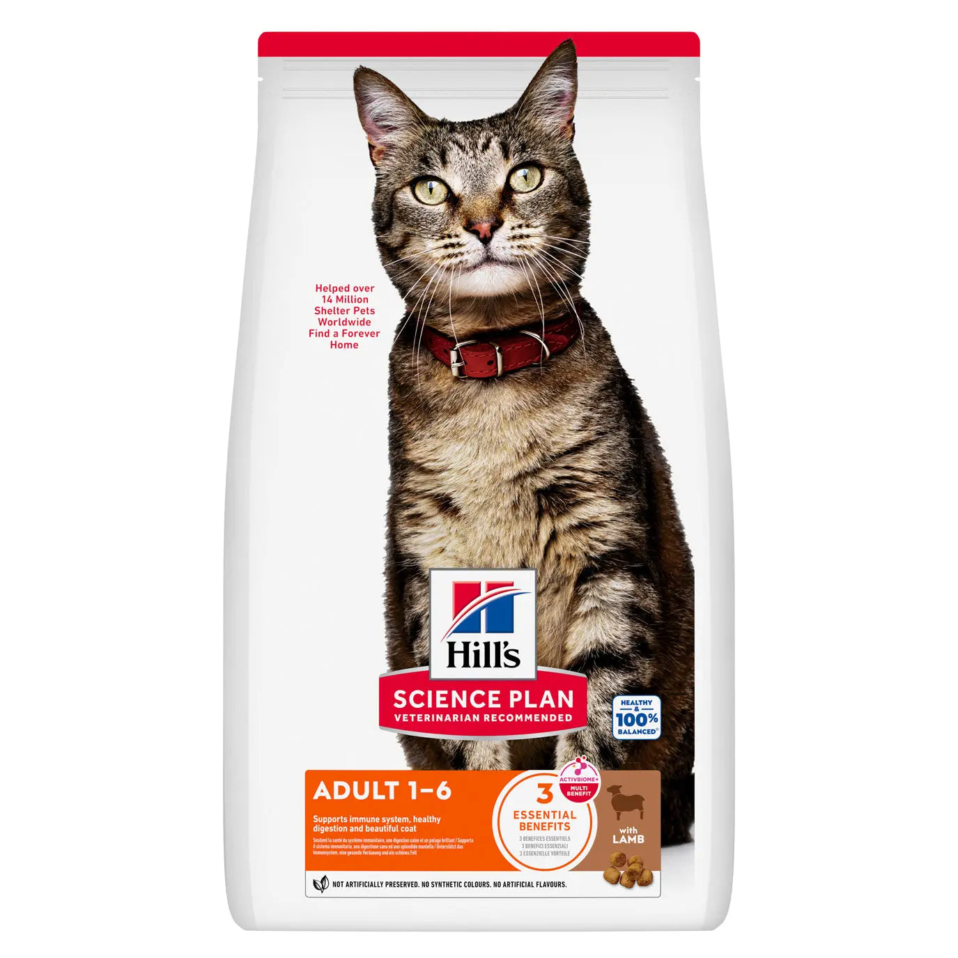 Hill's Science Plan Feline Adult Lamb Dry Cat Food   | Canine & Co