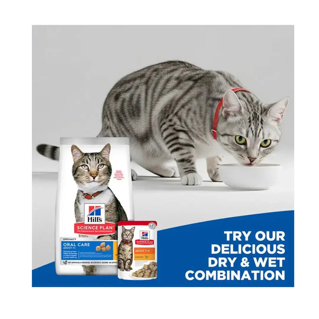 Hill's Science Plan Feline Adult Oral Care Chicken Dry Cat Food   | Canine & Co