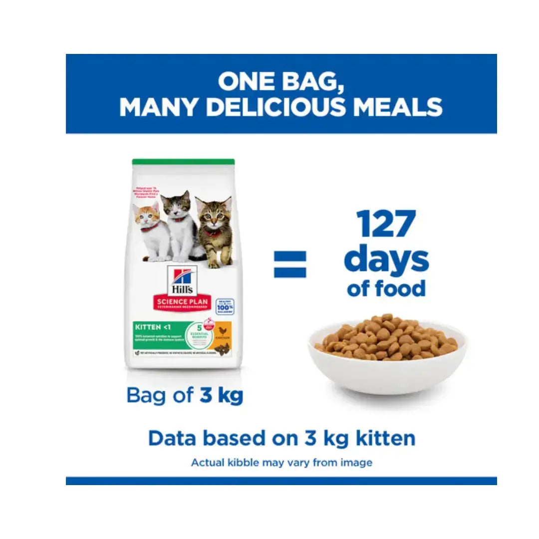 Hill's Science Plan Feline Kitten Chicken Dry Cat Food   | Canine & Co