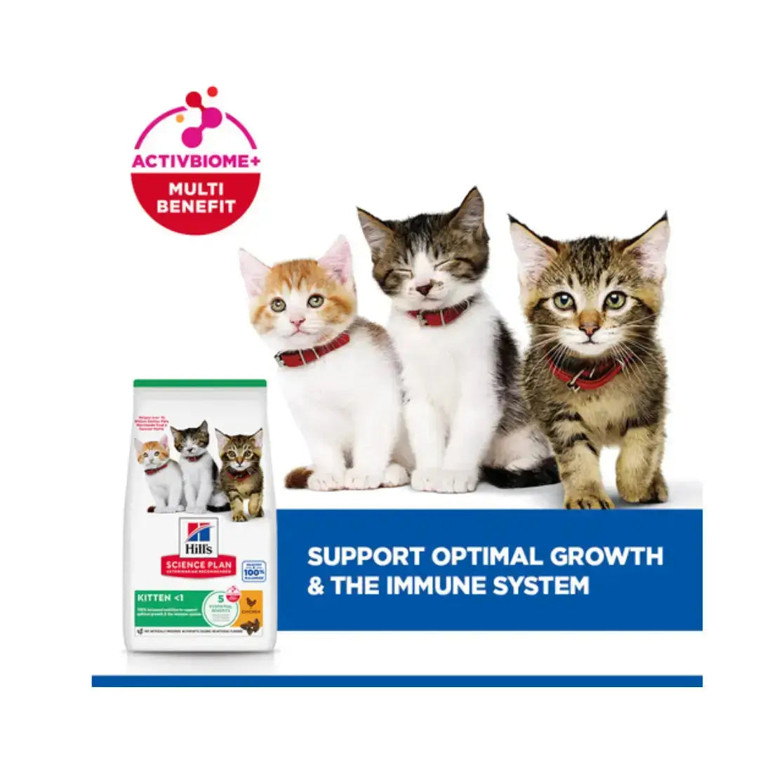 Hill's Science Plan Feline Kitten Chicken Dry Cat Food   | Canine & Co