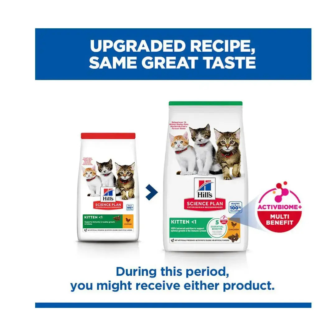 Hill's Science Plan Feline Kitten Chicken Dry Cat Food   | Canine & Co