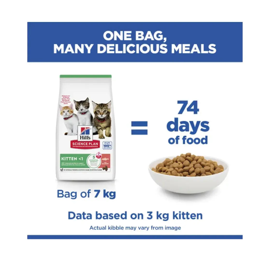 Hill's Science Plan Feline Kitten Salmon Dry Cat Food (Previously Tuna)   | Canine & Co