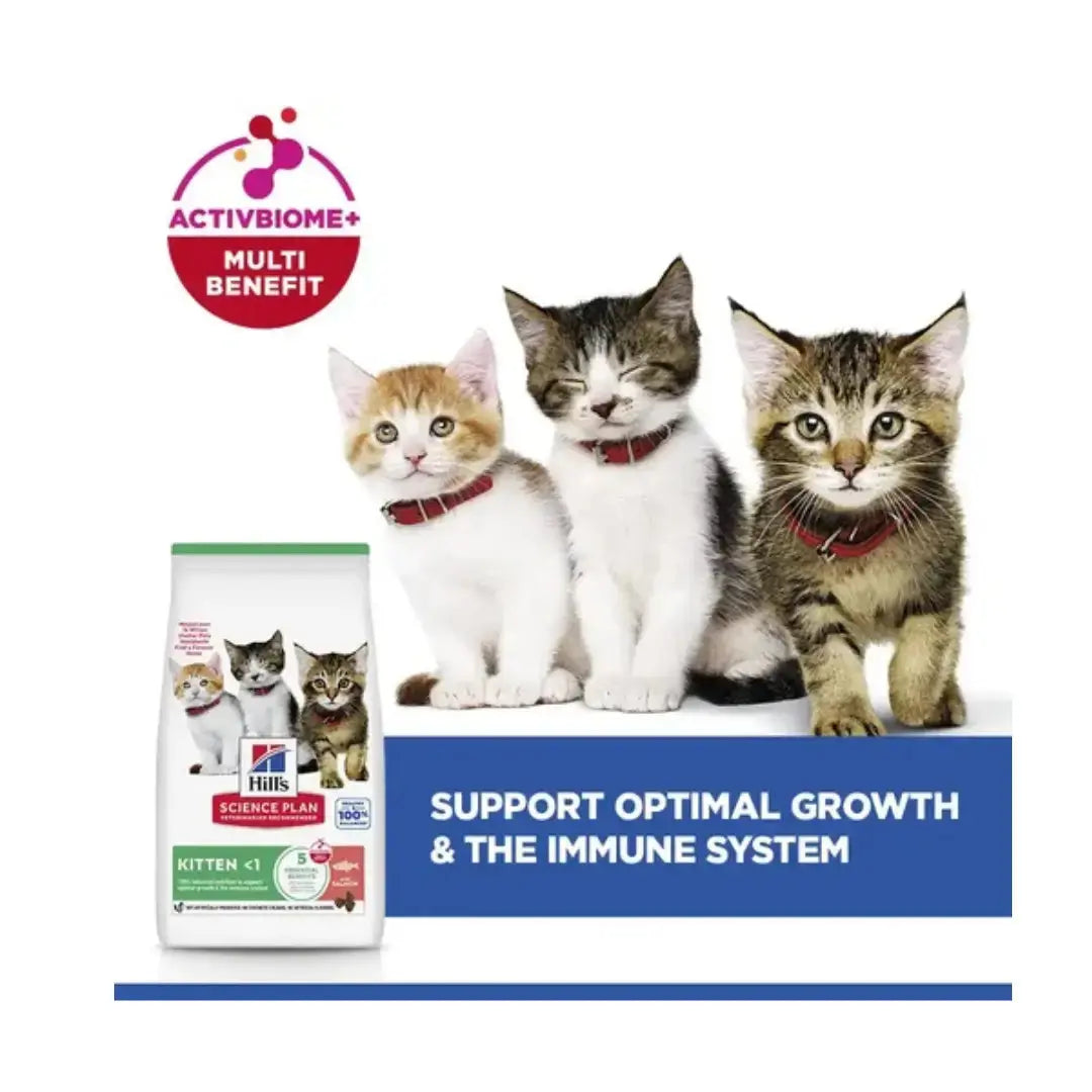 Hill's Science Plan Feline Kitten Salmon Dry Cat Food (Previously Tuna)   | Canine & Co