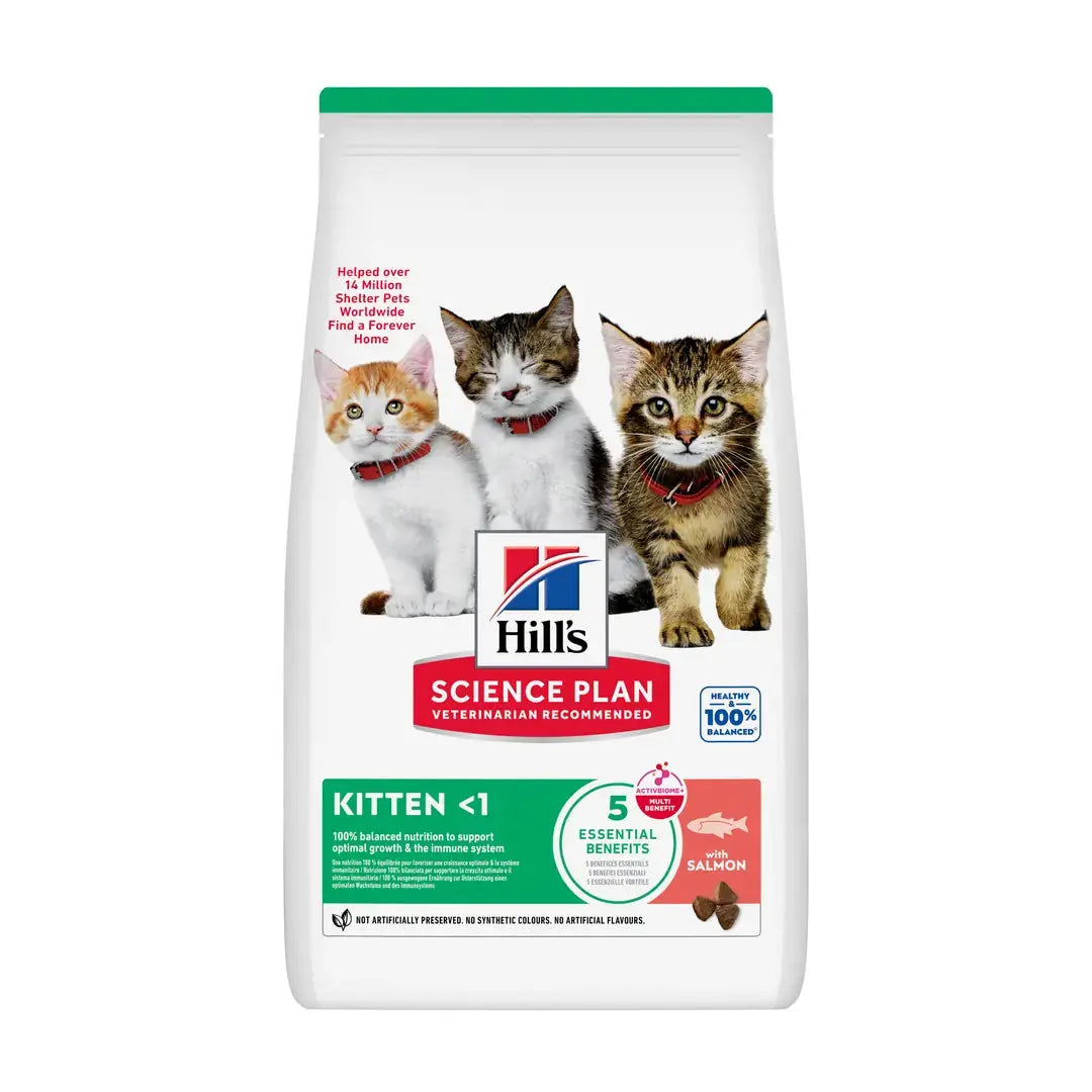 Hill's Science Plan Feline Kitten Salmon Dry Cat Food (Previously Tuna)   | Canine & Co