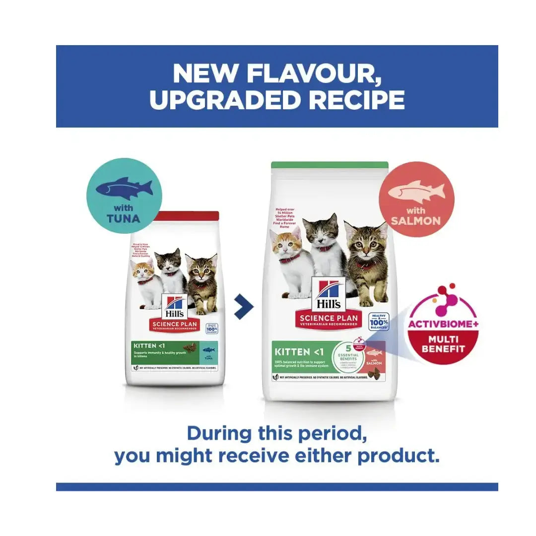 Hill's Science Plan Feline Kitten Tuna Dry Cat Food   | Canine & Co