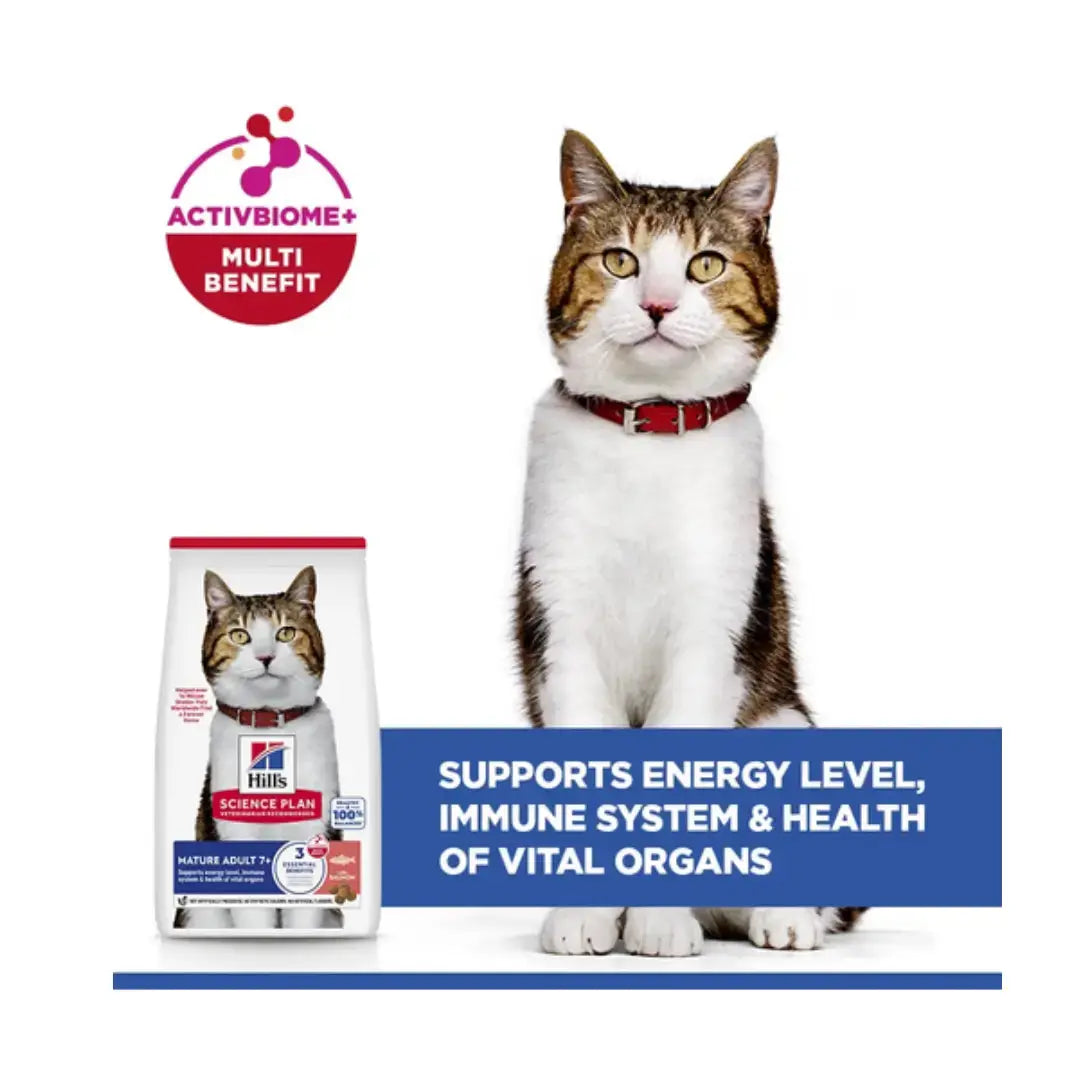 Hill's Science Plan Feline Mature Adult Salmon Dry Cat Food New   | Canine & Co