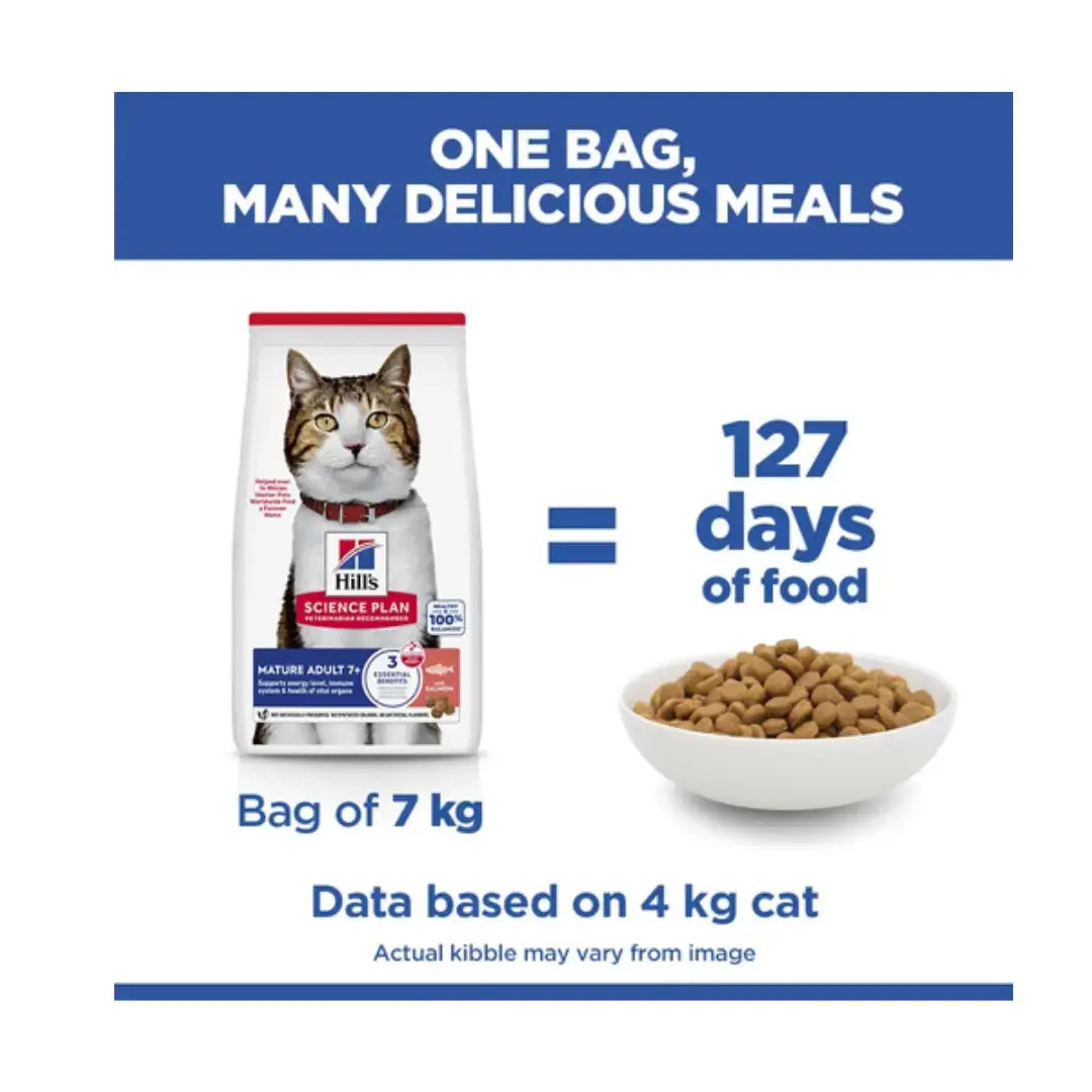 Hill's Science Plan Feline Mature Adult Salmon Dry Cat Food New   | Canine & Co