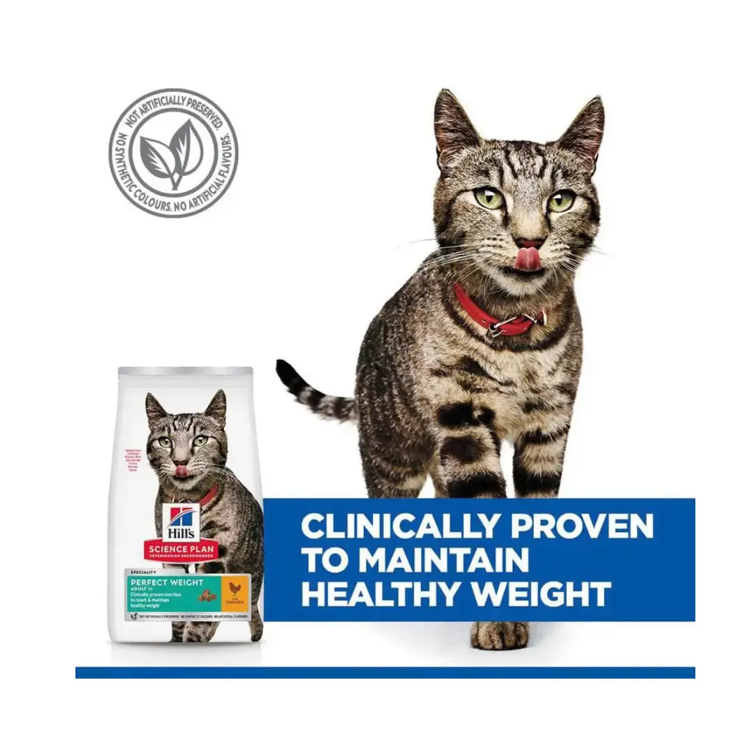 Hill's Science Plan Feline Perfect Weight Chicken Dry Cat Food   | Canine & Co