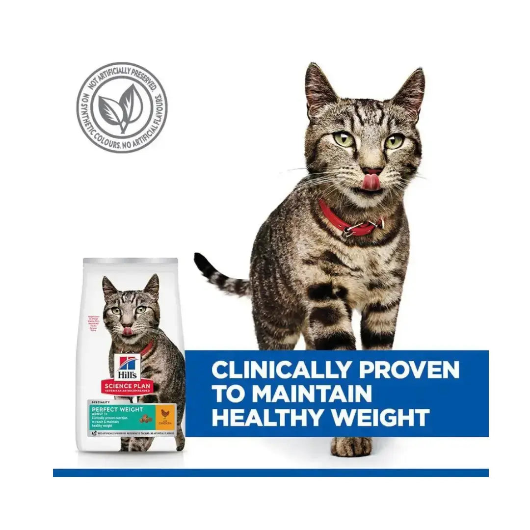 Hill's Science Plan Feline Perfect Weight Chicken Dry Cat Food   | Canine & Co