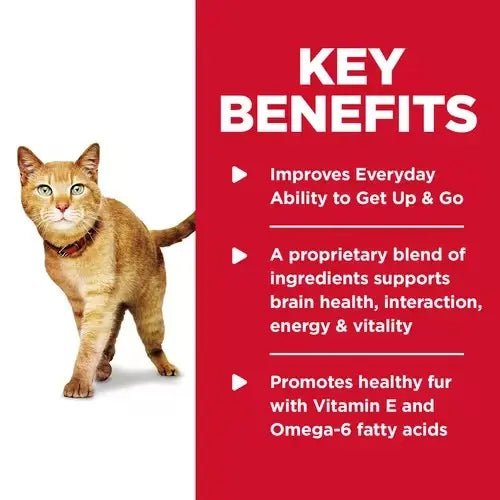 Cat with key benefits text highlighting improved energy, brain health, and healthy fur.