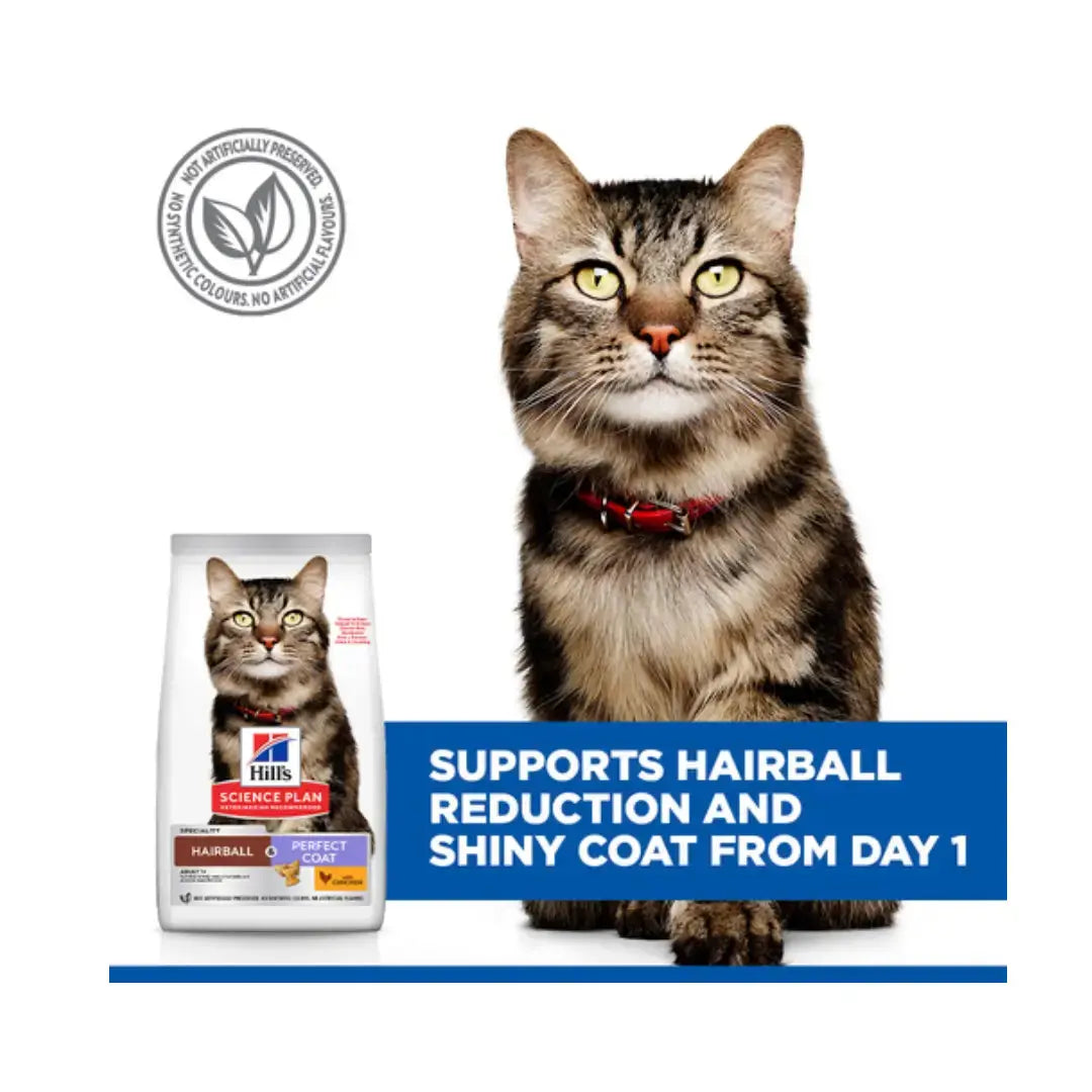 Hill's Science Plan Hairball & Perfect Coat Dry Cat Food   | Canine & Co