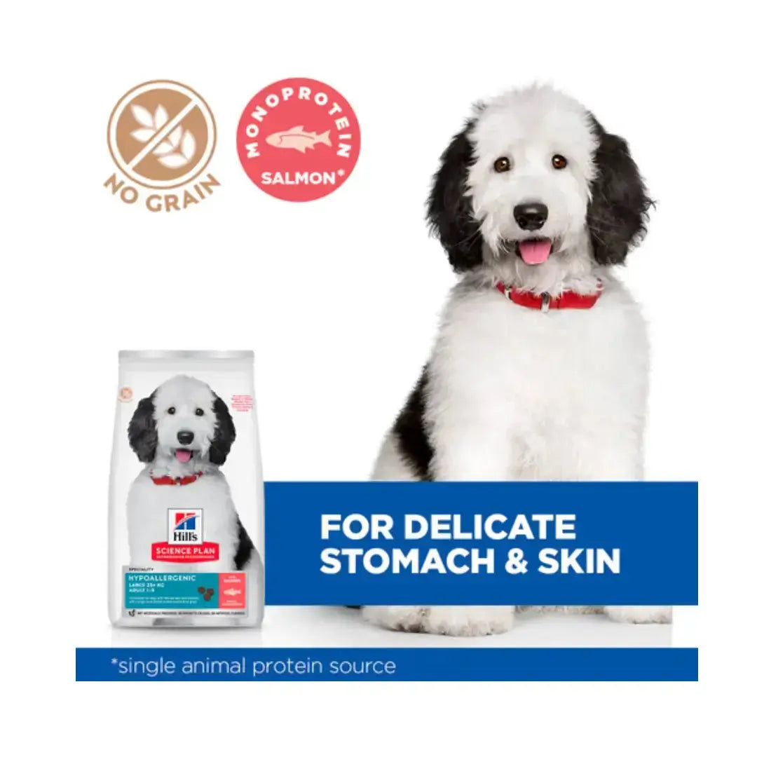 Hill's Science Plan Hypoallergenic Adult Large Breed with Salmon Dry Dog Food   | Canine & Co
