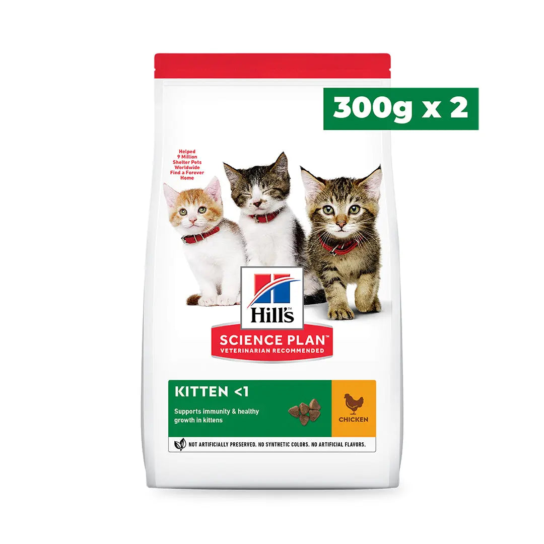 Kitten Welcome Home Pack - Packshot