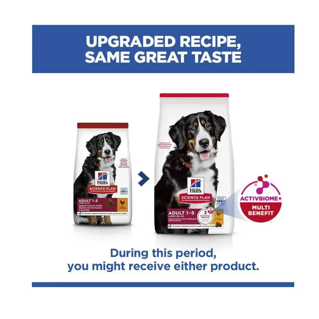 Hill’s Science Plan Large Breed Adult Chicken Dry Dog Food   | Canine & Co