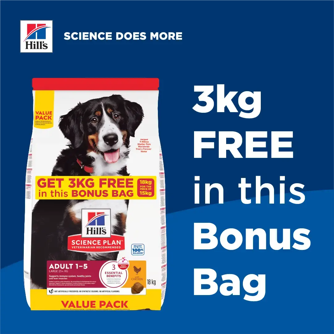 Hill's Science Plan Large Breed Adult Chicken Dry Dog Food   | Canine & Co