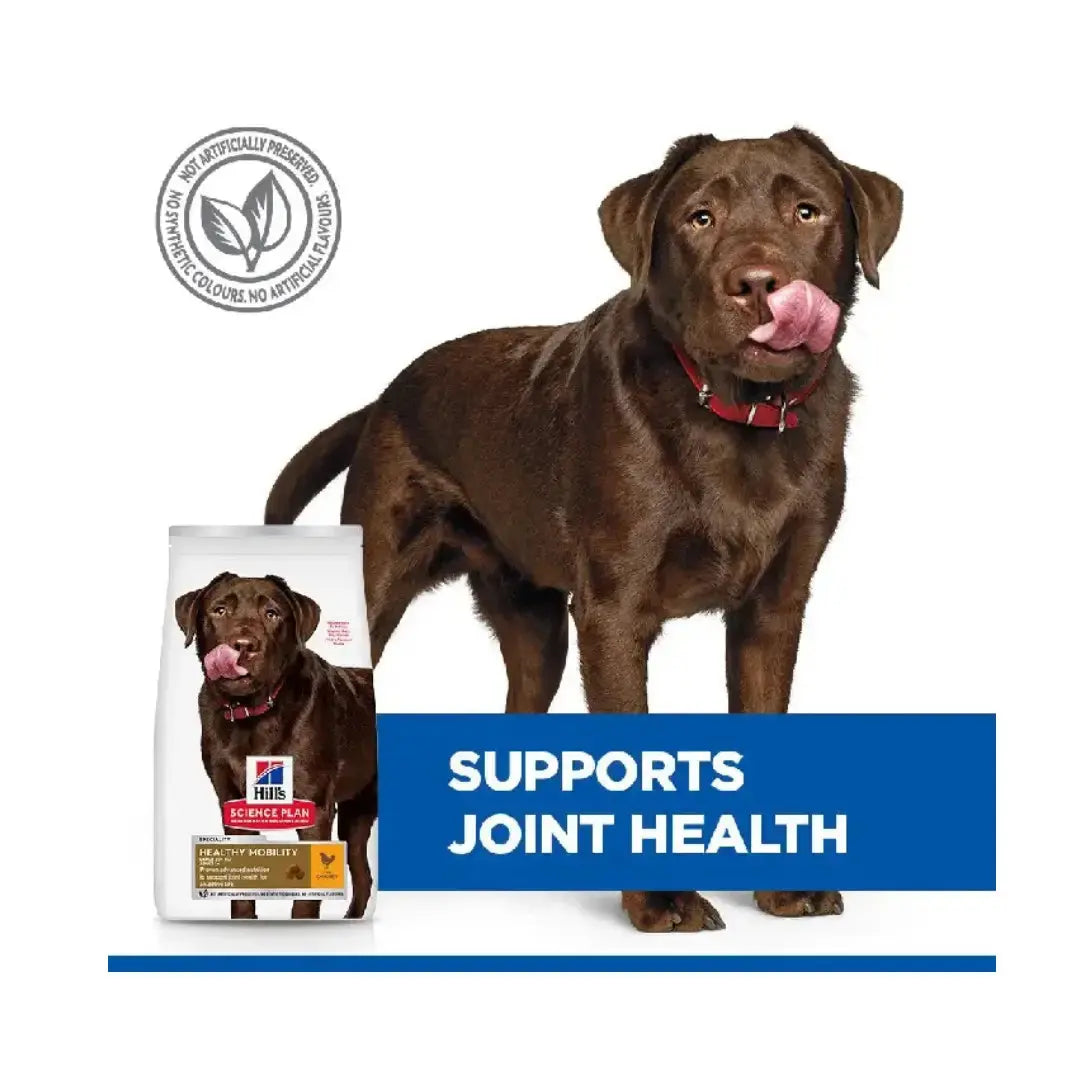 Hill’s Science Plan Large Breed Adult Healthy Mobility Chicken Dry Dog Food   | Canine & Co