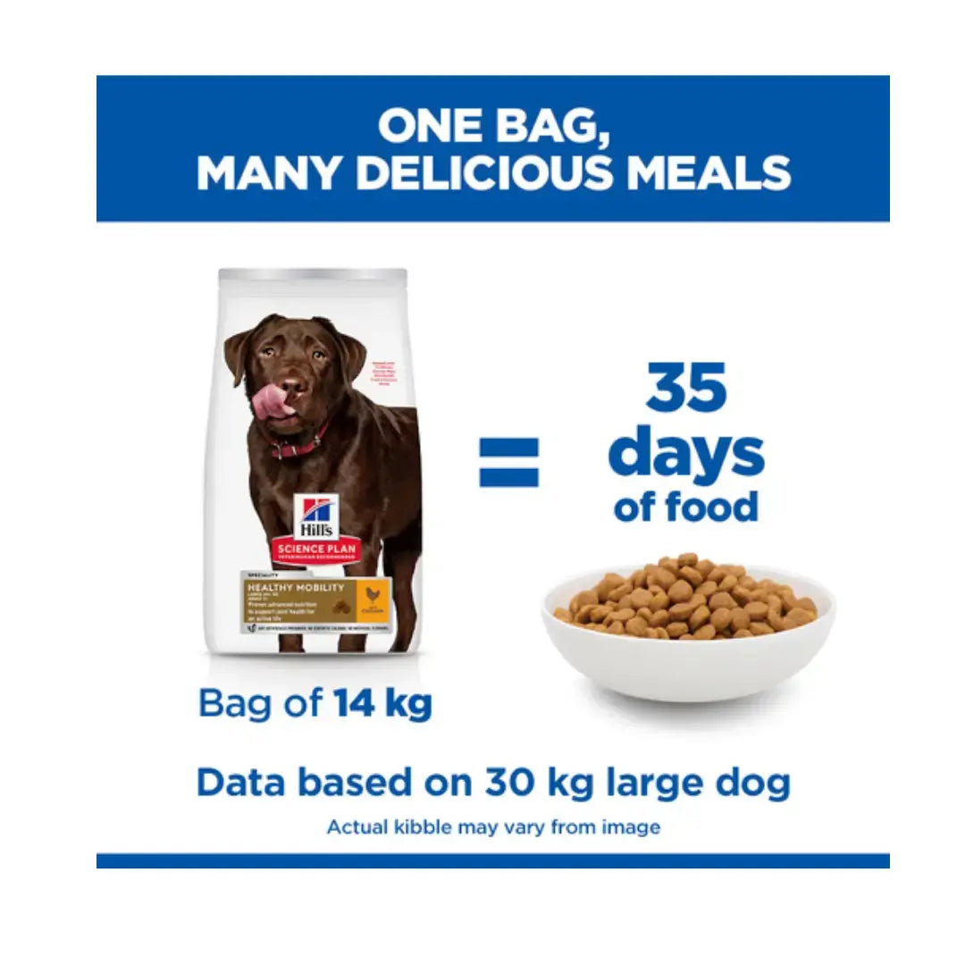 Hill’s Science Plan Large Breed Adult Healthy Mobility Chicken Dry Dog Food   | Canine & Co