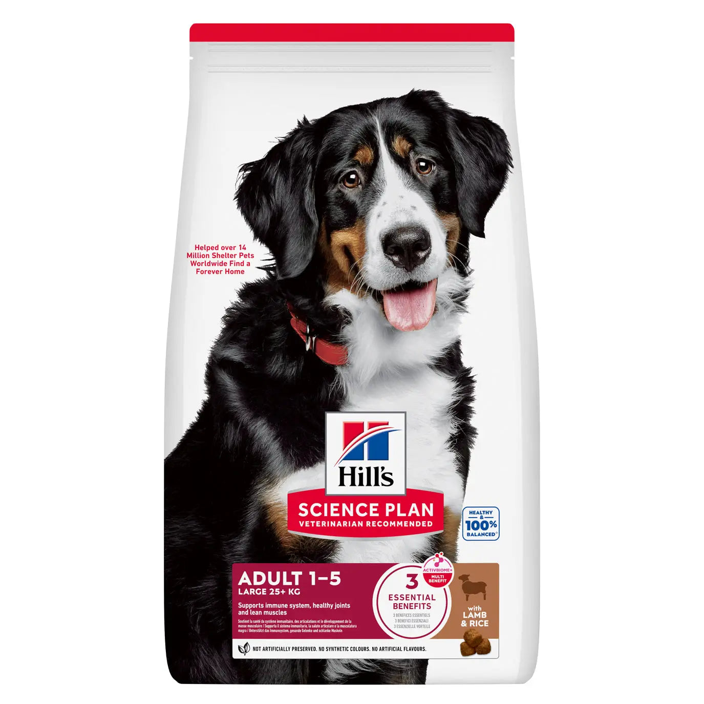 Hill’s Science Plan Large Breed Adult Lamb & Rice Dry Dog Food   | Canine & Co