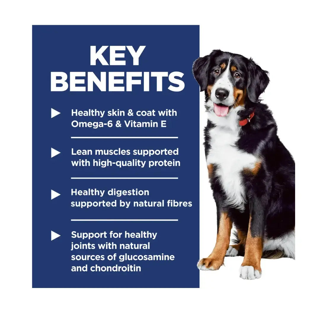 Hill’s Science Plan Large Breed Adult Lamb & Rice Dry Dog Food   | Canine & Co