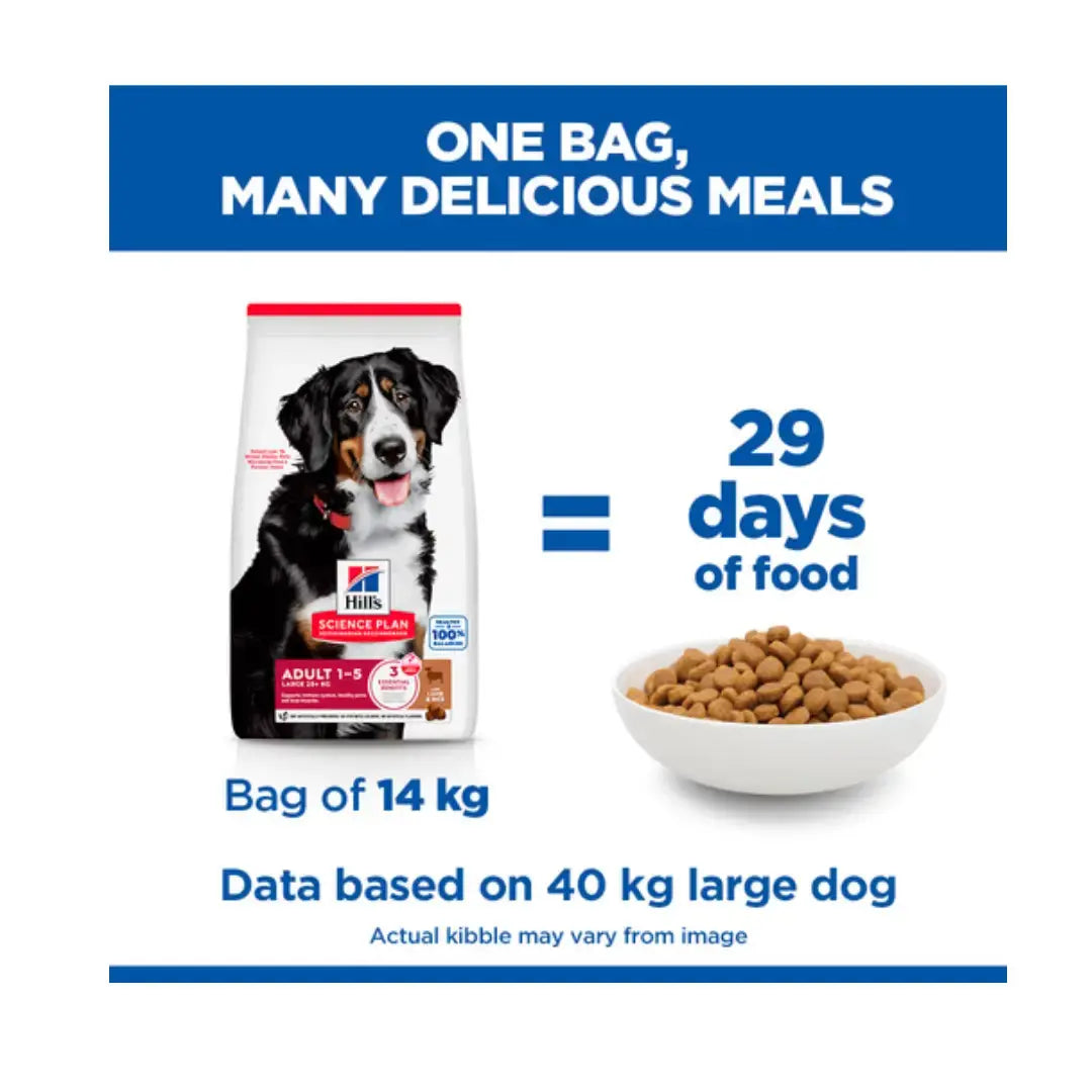 Hill’s Science Plan Large Breed Adult Lamb & Rice Dry Dog Food   | Canine & Co