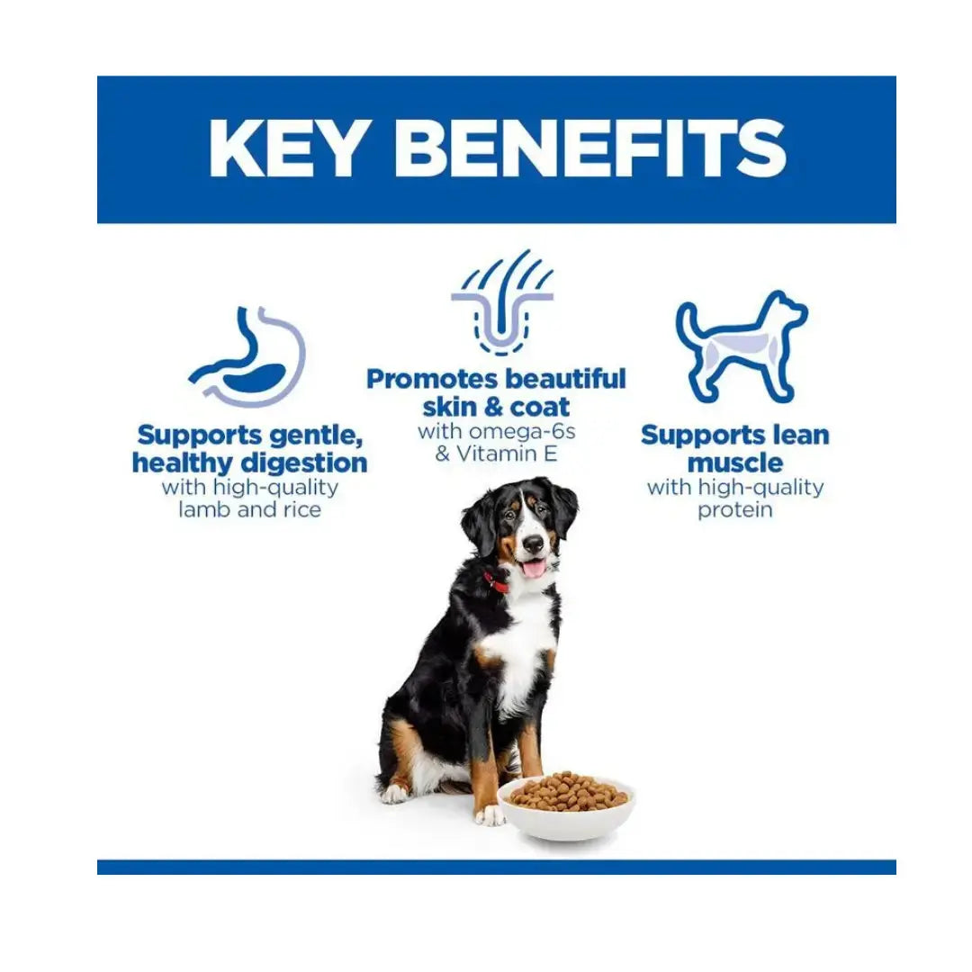 Hill’s Science Plan Large Breed Adult Lamb & Rice Dry Dog Food   | Canine & Co