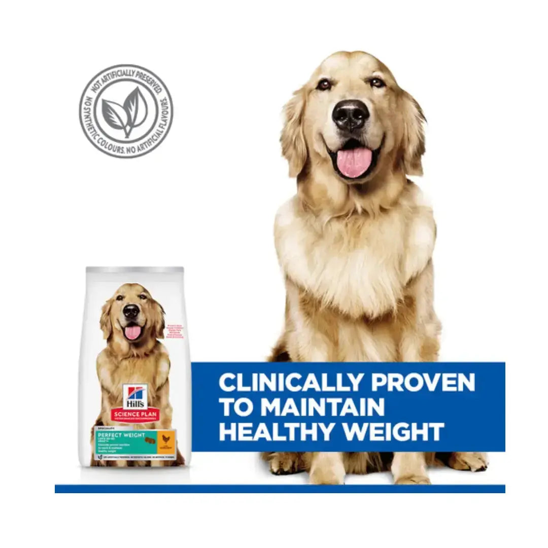 Hill’s Science Plan Large Breed Adult Perfect Weight Chicken Dry Dog Food   | Canine & Co