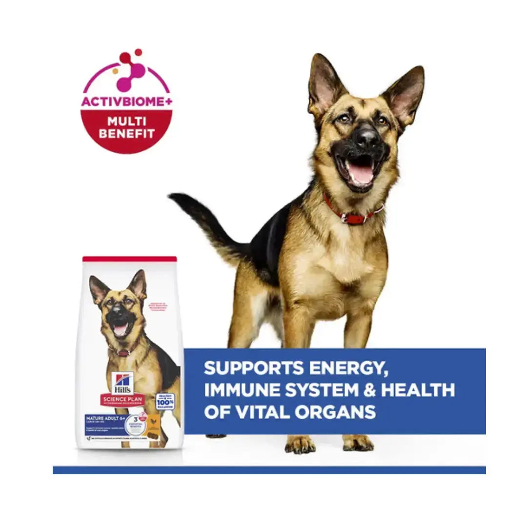 Hill’s Science Plan Large Breed Mature Adult 6+ Chicken Dry Dog Food   | Canine & Co