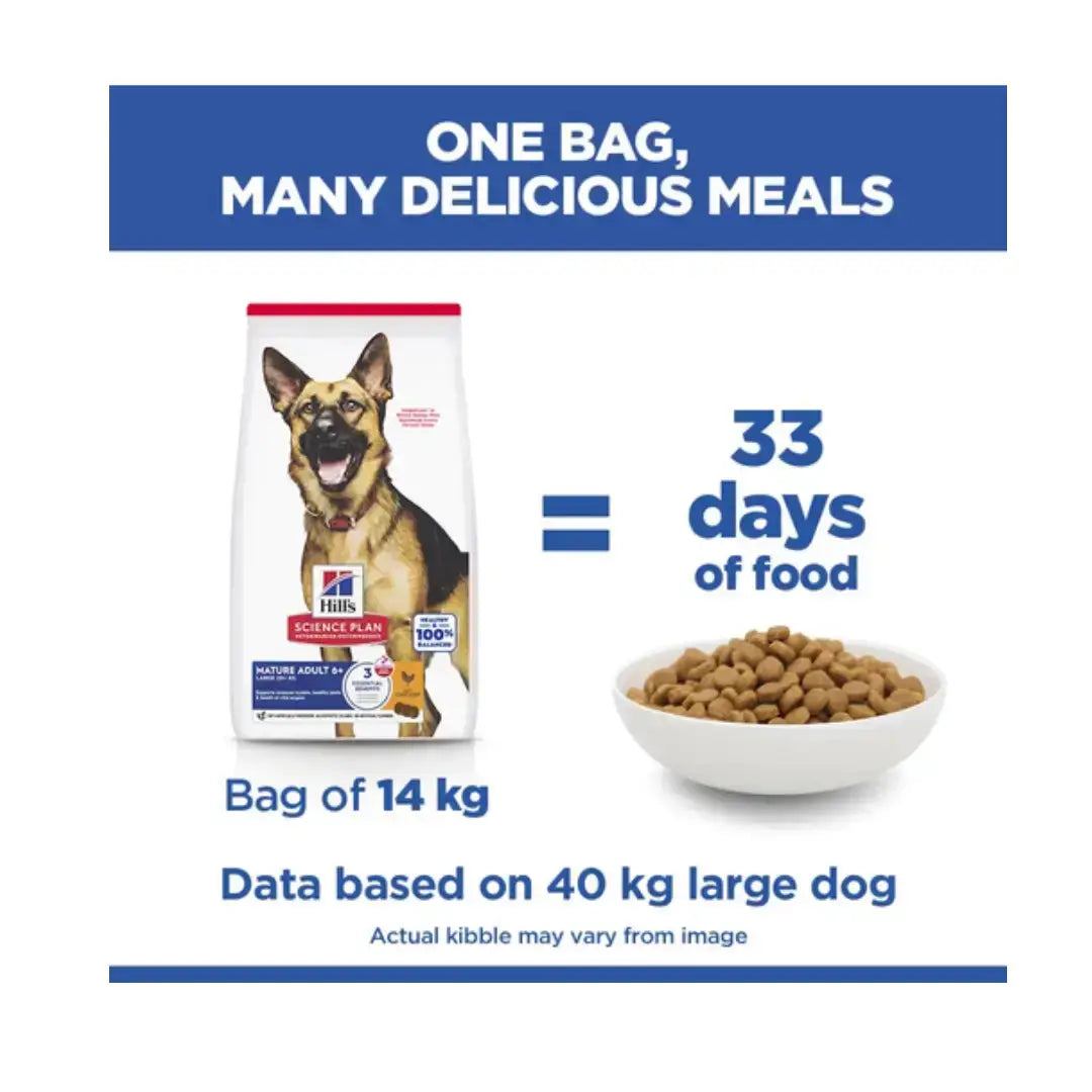 Hill’s Science Plan Large Breed Mature Adult 6+ Chicken Dry Dog Food   | Canine & Co