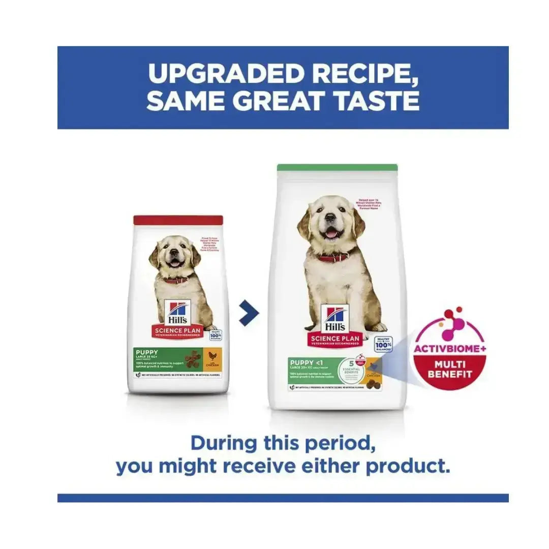 Hill's Science Plan Large Breed Puppy Chicken Dry Dog Food   | Canine & Co