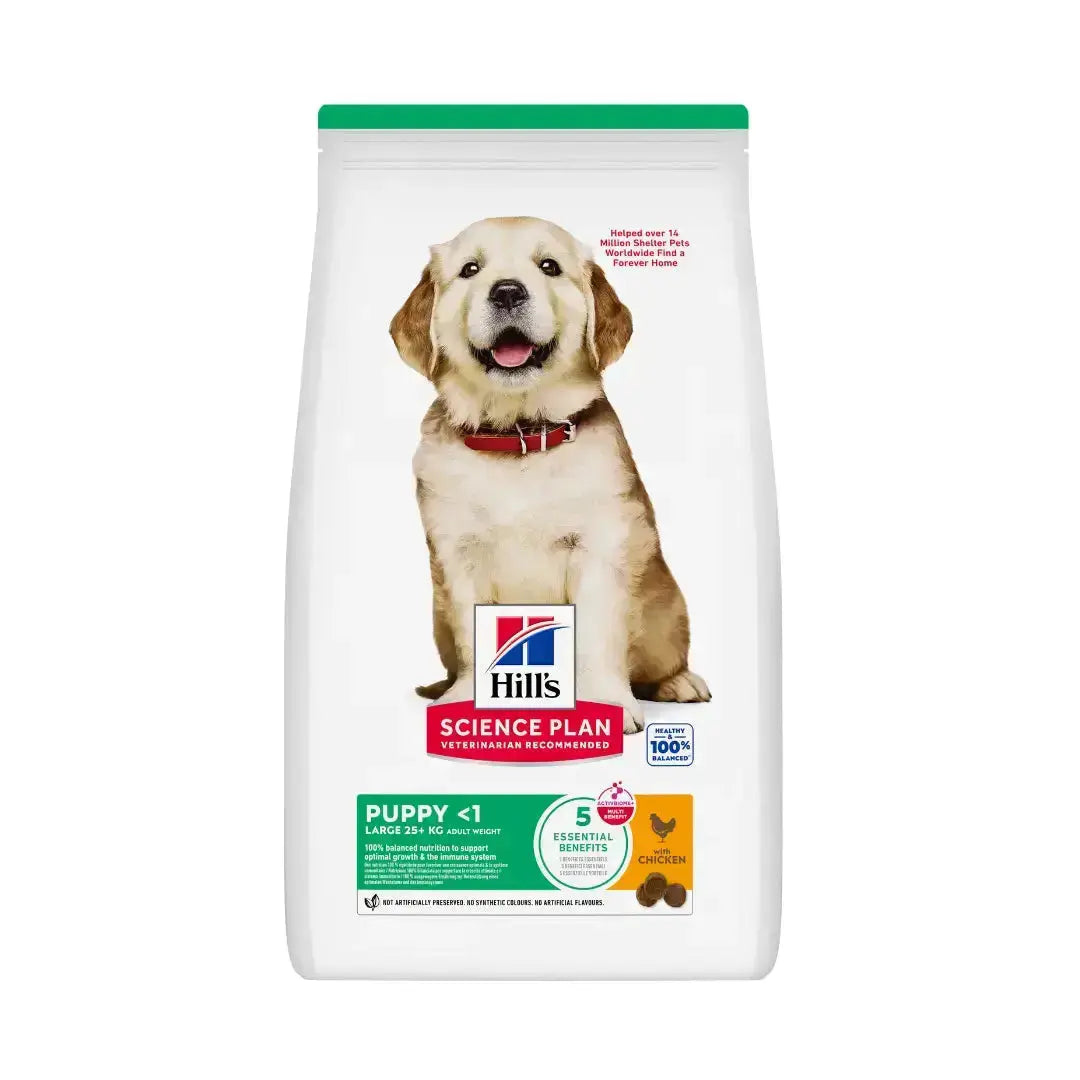 Hill's Science Plan Large Breed Puppy Chicken Dry Dog Food   | Canine & Co