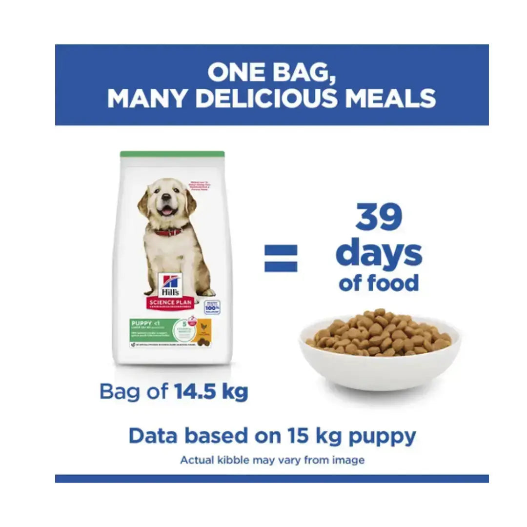 Hill's Science Plan Large Breed Puppy Chicken Dry Dog Food   | Canine & Co