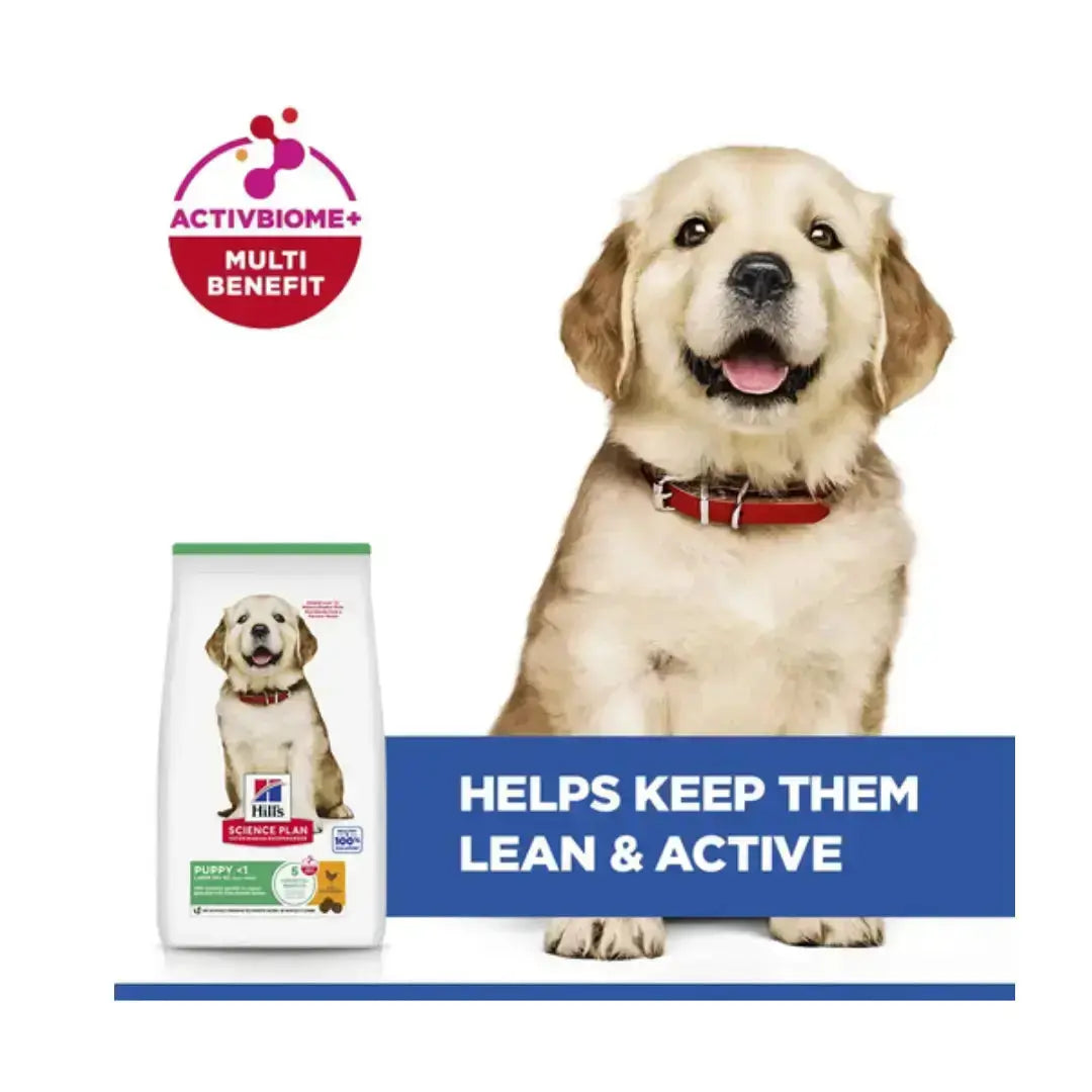 Hill's Science Plan Large Breed Puppy Chicken Dry Dog Food   | Canine & Co
